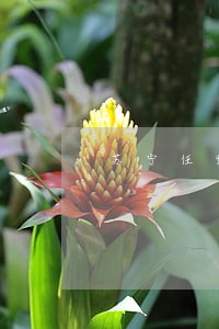 苏宁任性贷逾期的经历 苏宁任性贷逾期的经历