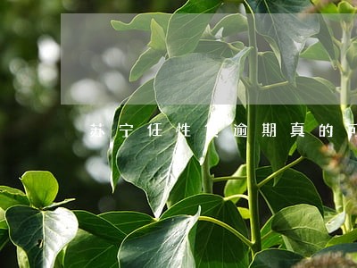 苏宁任性贷逾期真的可以冻结 苏宁任性贷逾期真的可以冻结