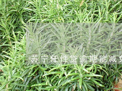 苏宁任性贷逾期能减免利息吗 苏宁任性贷逾期能减免利息吗