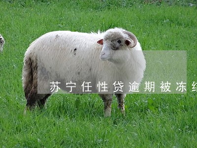 苏宁任性贷逾期被冻结 苏宁任性贷逾期被冻结