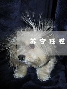 苏宁任性贷逾期被发邮政 苏宁任性贷逾期被发邮政