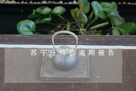苏宁任性贷逾期被告 苏宁任性贷逾期被告