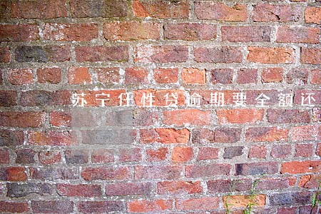苏宁任性贷逾期要全额还款吗 苏宁任性贷逾期要全额还款吗