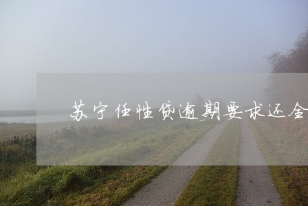 苏宁任性贷逾期要求还全款 苏宁任性贷逾期要求还全款