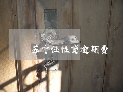 苏宁任性贷逾期费 苏宁任性贷逾期费