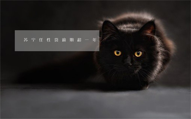 苏宁任性贷逾期超一年 苏宁任性贷逾期超一年