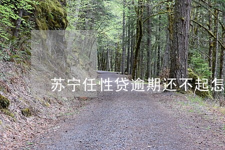 苏宁任性贷逾期还不起怎么办 苏宁任性贷逾期还不起怎么办