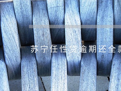 苏宁任性贷逾期还全款 苏宁任性贷逾期还全款