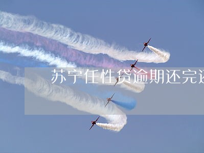 苏宁任性贷逾期还完还能借吗