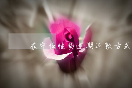 苏宁任性贷逾期还款方式 苏宁任性贷逾期还款方式