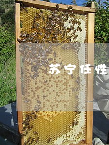 苏宁任性逾期一天 苏宁任性逾期一天