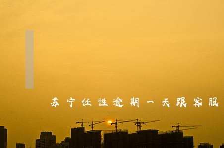 苏宁任性逾期一天跟客服沟通 苏宁任性逾期一天跟客服沟通