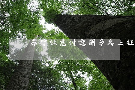 苏宁任意付逾期多久上征信 苏宁任意付逾期多久上征信