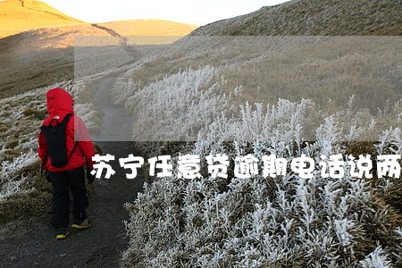 苏宁任意贷逾期电话说两天后还款 苏宁任意贷逾期电话说两天后还款