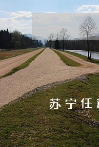 苏宁任逾期1年 苏宁任逾期1年