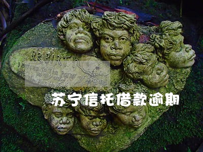 苏宁信托借款逾期
