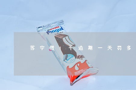 苏宁借1千逾期一天罚多少