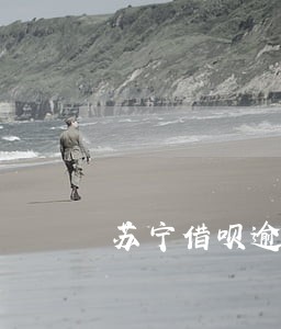 苏宁借呗逾期了怎么办 苏宁借呗逾期了怎么办