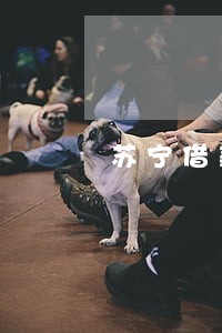 苏宁借款第一期逾期 苏宁借款第一期逾期