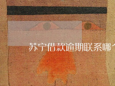 苏宁借款逾期联系哪个客服 苏宁借款逾期联系哪个客服