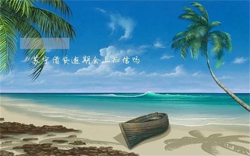 苏宁借贷逾期会上征信吗 苏宁借贷逾期会上征信吗