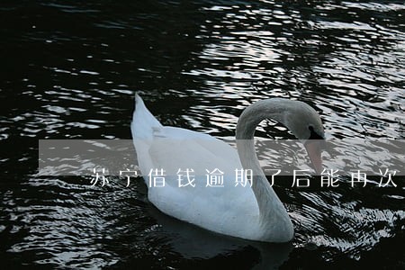 苏宁借钱逾期了后能再次分期吗 苏宁借钱逾期了后能再次分期吗