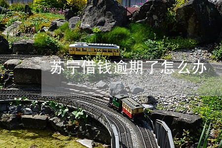 苏宁借钱逾期了怎么办