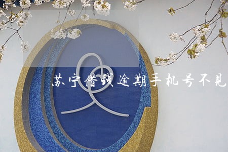 苏宁借钱逾期手机号不见了怎办 苏宁借钱逾期手机号不见了怎办