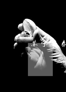 苏宁债券展期逾期 苏宁债券展期逾期