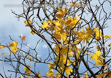 苏宁内部员工理财逾期最新消息 苏宁内部员工理财逾期最新消息