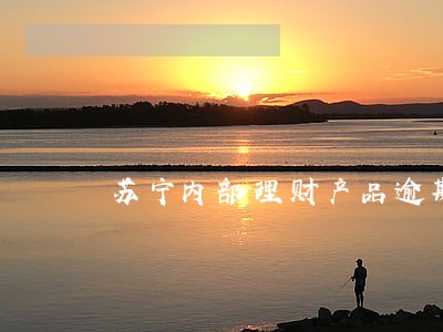 苏宁内部理财产品逾期 苏宁内部理财产品逾期