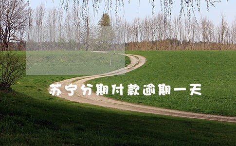 苏宁分期付款逾期一天 苏宁分期付款逾期一天
