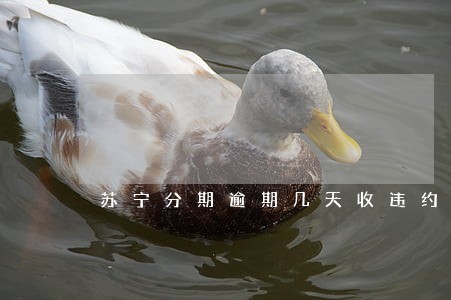 苏宁分期逾期几天收违约金 苏宁分期逾期几天收违约金