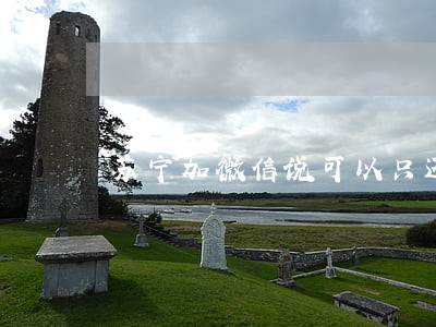 苏宁加微信说可以只还本金 苏宁加微信说可以只还本金