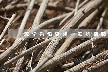 苏宁升级贷晚一天结清算逾期么 苏宁升级贷晚一天结清算逾期么