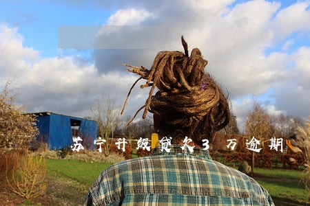 苏宁升级贷欠3万逾期 苏宁升级贷欠3万逾期