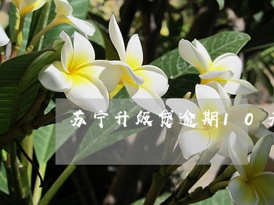 苏宁升级贷逾期10天 苏宁升级贷逾期10天