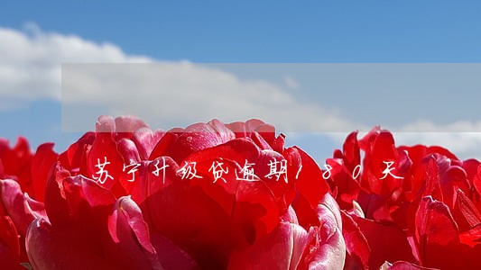 苏宁升级贷逾期180天 苏宁升级贷逾期180天