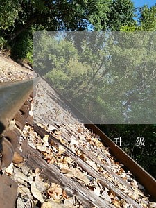 苏宁升级贷逾期会催收吗