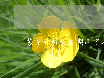 苏宁升级贷逾期还了还能贷吗 苏宁升级贷逾期还了还能贷吗