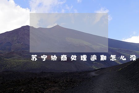 苏宁协商处理逾期怎么没清零