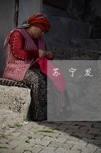 苏宁发短信我的逾期已经上报征信 苏宁发短信我的逾期已经上报征信