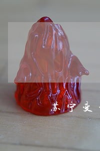 苏宁变现贷逾期 苏宁变现贷逾期