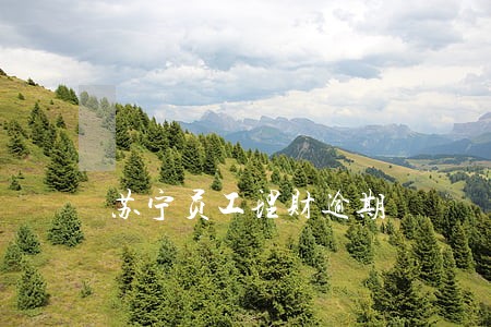 苏宁员工理财逾期 苏宁员工理财逾期