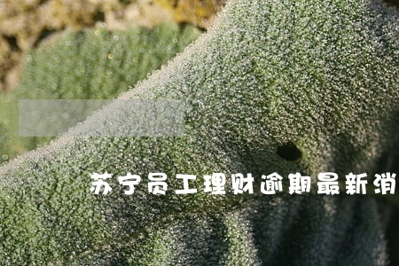 苏宁员工理财逾期最新消息 苏宁员工理财逾期最新消息