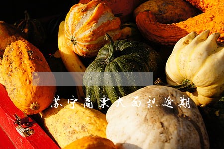 苏宁商票大面积逾期 苏宁商票大面积逾期