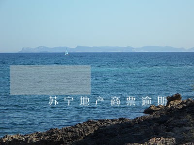 苏宁地产商票逾期