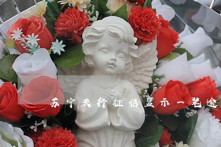 苏宁央行征信显示一笔逾期贷款 苏宁央行征信显示一笔逾期贷款