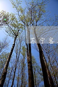 苏宁客服可以删掉逾期记录吗 苏宁客服可以删掉逾期记录吗