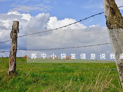 苏宁小贷发信息说我逾期 苏宁小贷发信息说我逾期